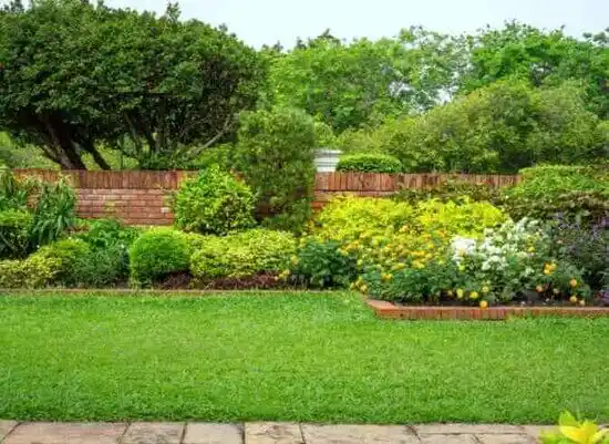 landscaping services Pine Valley